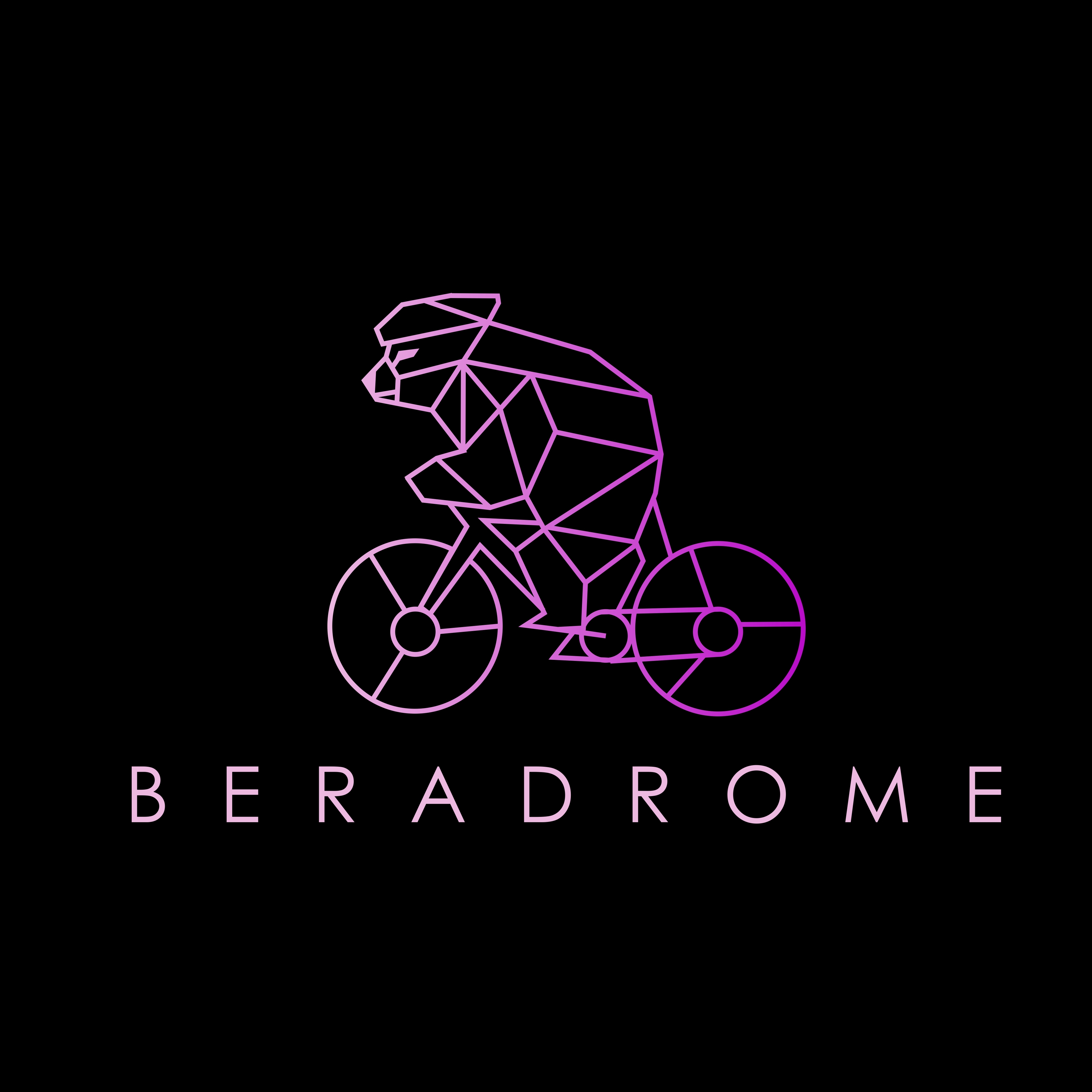 Beradrome logo - Bear riding a bicycle